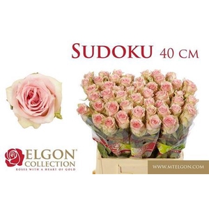 Rosa grootbloemig Sudoku
