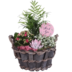 Mothersday Arr. Indoor Willow Basket Woven Wood Round Ø25cm 4PP