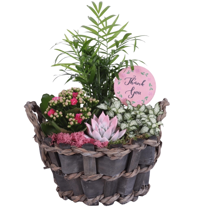 <h4>Mothersday Arr. Indoor Willow Basket Woven Wood Round Ø25cm 4PP</h4>