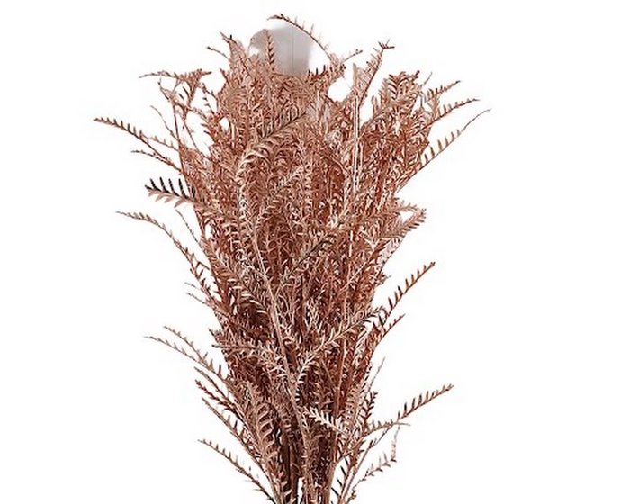 <h4>Grevillea Ivanhoe Klb Copper</h4>