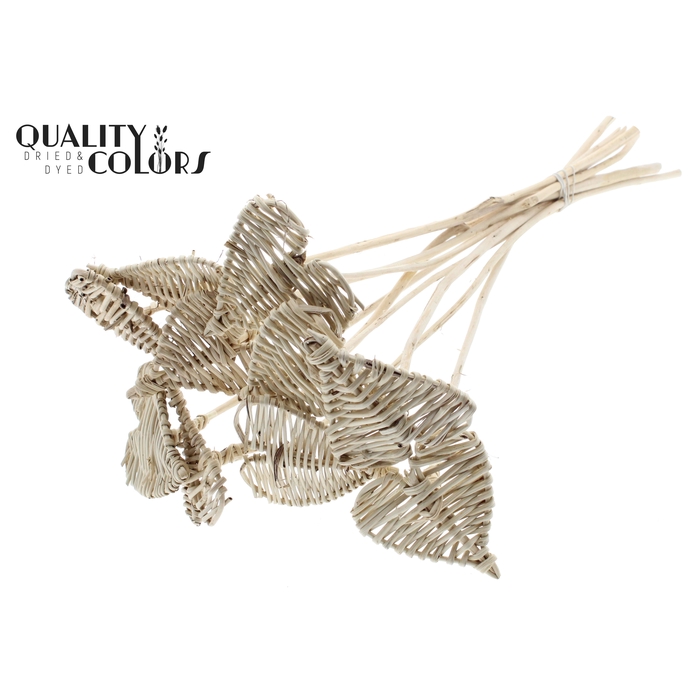 <h4>Lata Heart 8cm on stem Hat type Natural</h4>