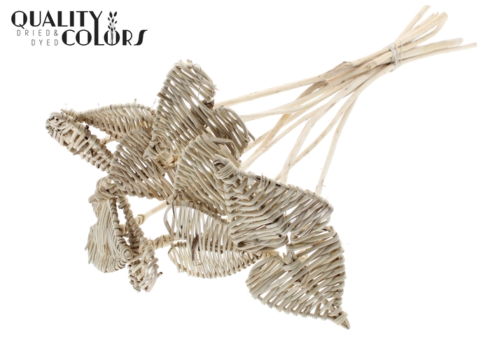 Lata Heart 8cm on stem Hat type Natural