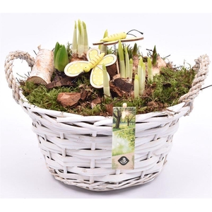 Wilg mand rond wit 25cm