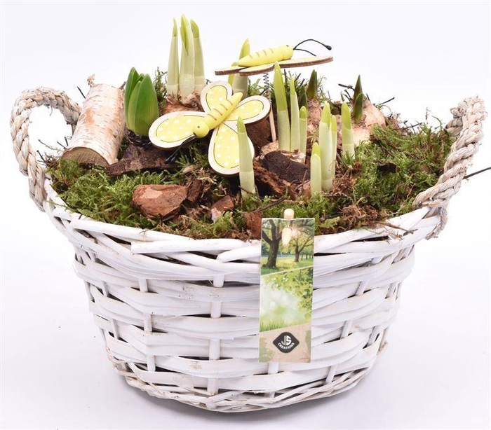 <h4>Wilg mand rond wit 25cm</h4>