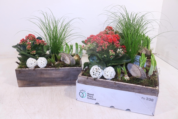 <h4>ARR PL IN SCHAAL</h4>