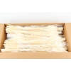 DF Triticum Bleached Bs 100gr