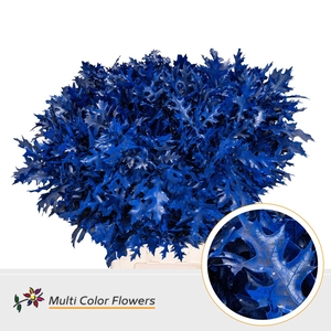 Eik Fijn Frost Blauw Donker