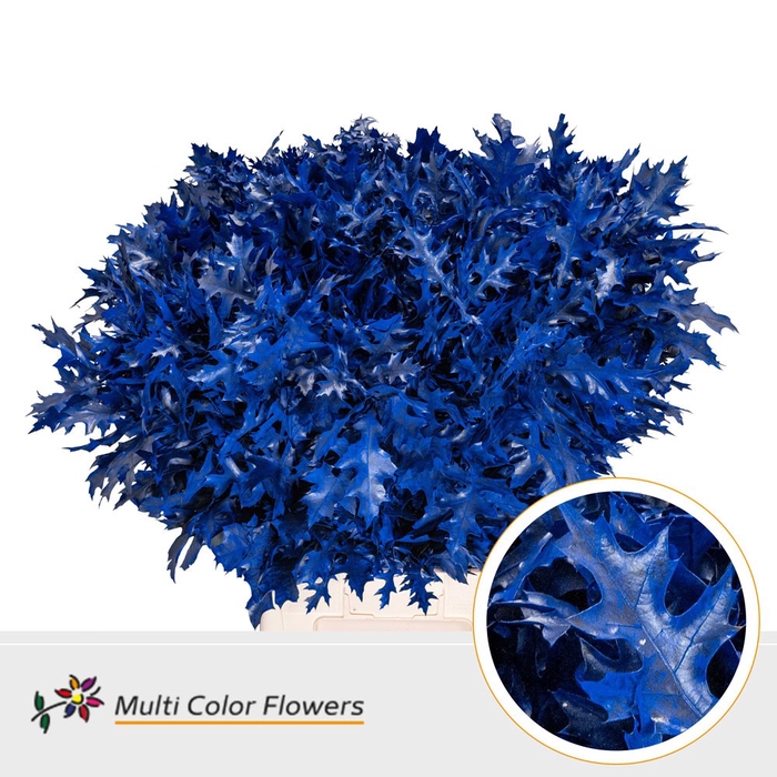 <h4>Eik Fijn (80 cm) Frost Blauw donker</h4>