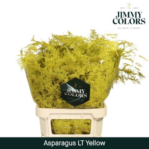 <h4>Aspa lang getopt Yellow</h4>