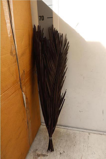 <h4>HUIS EN TUINDECO H%</h4>