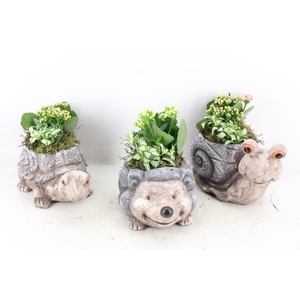 arr2 TD - Dierenmix - roze/wit