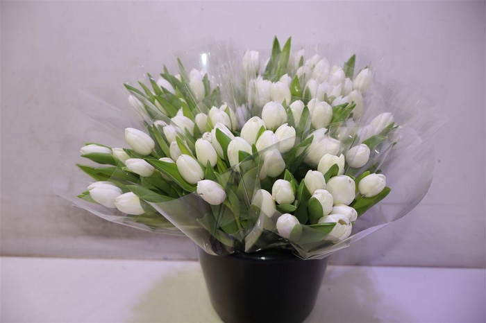 <h4>Tu En Royal Virgin X10</h4>