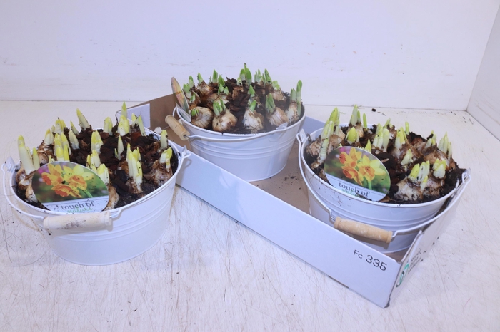 <h4>ARR N TETE A TETE</h4>