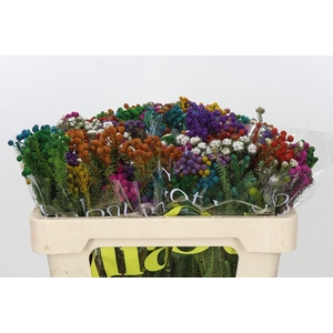 Kaaps Groen Palaecea Mix