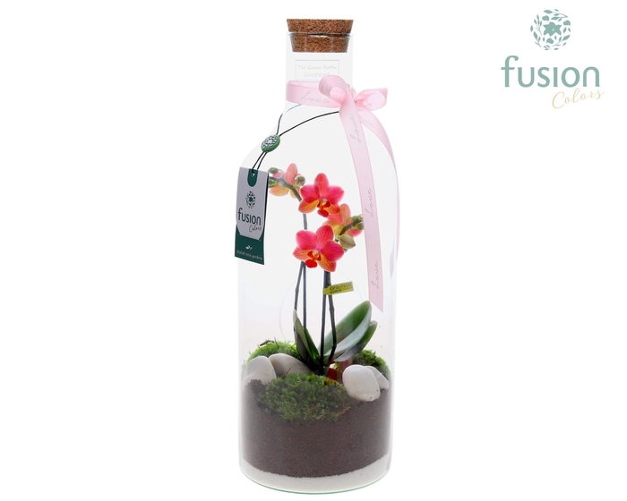 <h4>Green Bottle Fles Medium met Phalaenopsis</h4>