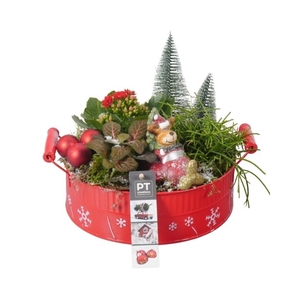 PTKB9423 Arrangement Kerst in zink schaal