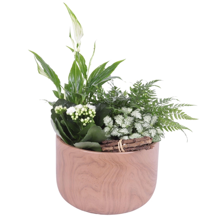 <h4>Yearround Arr. Indoor Ceramic Naturel Touch N565 Ø20cm 4PP</h4>