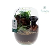 Arrangementen kamerplanten groen H% glas FC-24.0066FDH
