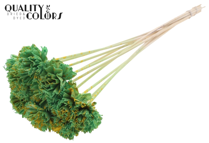 Shola Karnish Flower 6cm on stem Splashed Mint/Yellow