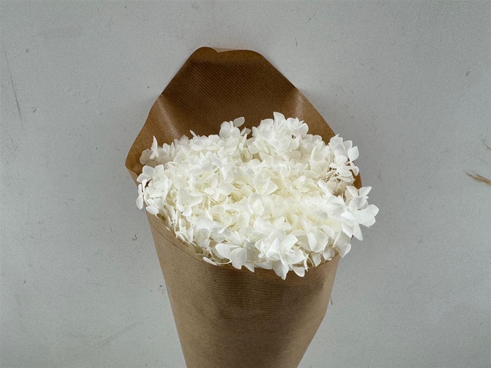 <h4>Pres Hydrangea Bleached Bunch</h4>