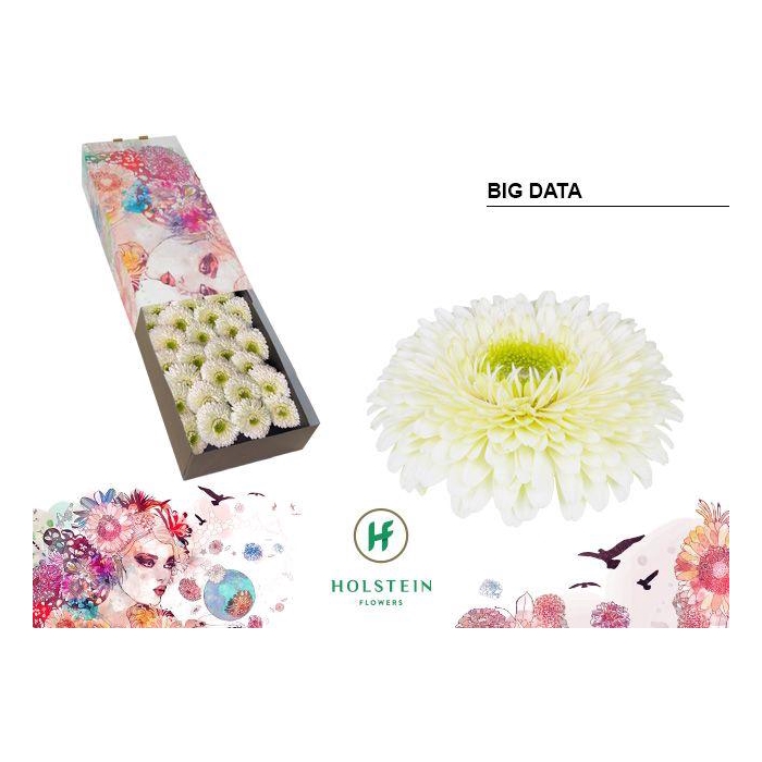 <h4>Ge Gb Gerp Big Data</h4>