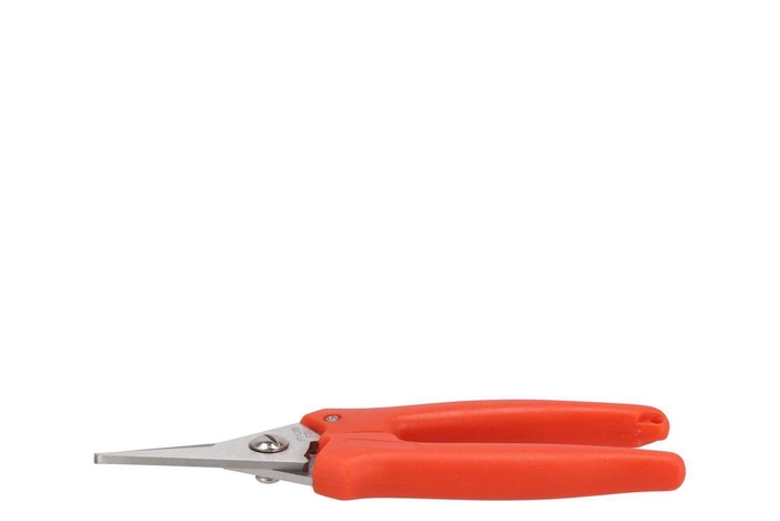 Floristry Hobby Scissor Small Red Budget 15cm