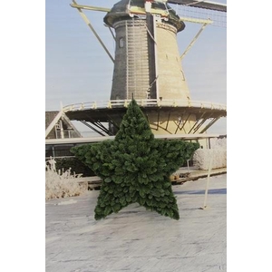 Ster vorm gesloten enkelzijdig Nobilis 60cm