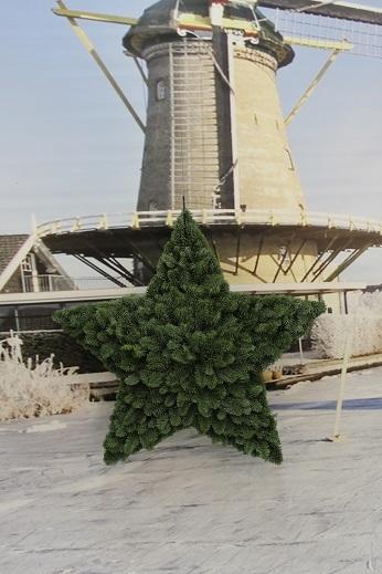 <h4>Ster vorm gesloten enkelzijdig Nobilis 60cm besneewd</h4>