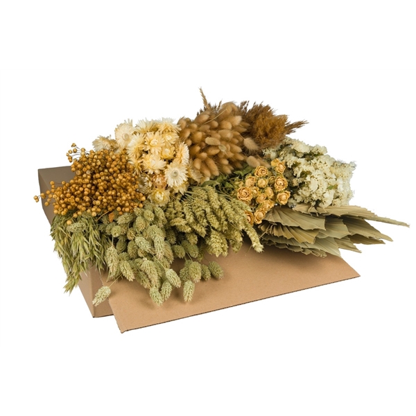 Droogbloemen-Dried Flowers Mix Box-50-60cm-Natural