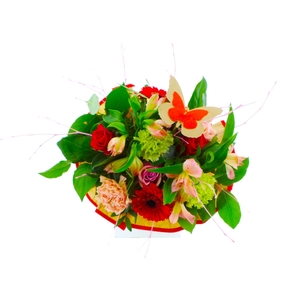 Bouquet Butterfly