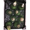SIERFRUIT CUCUMIS GLITTER ROSE X16
