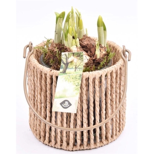 Touw lantaarn met glas 13cm h11.5cm