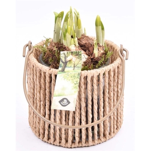 Touw lantaarn met glas 13cm h11.5cm