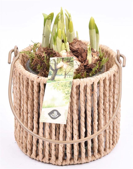 <h4>Touw lantaarn met glas 13cm h11.5cm</h4>