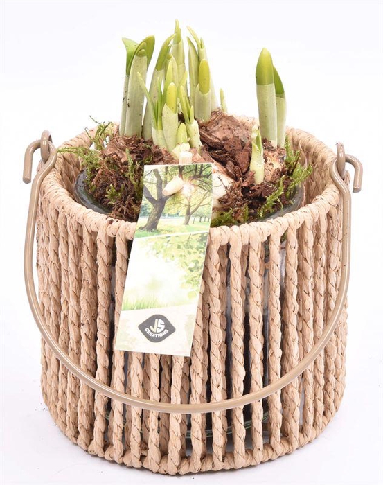 <h4>Touw lantaarn met glas 13cm h11.5cm</h4>