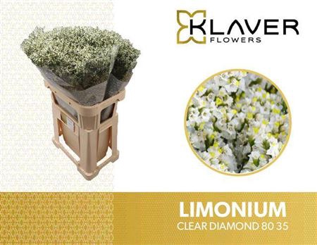 <h4>LIM SIN CLEAR DIA 80 35 STANDING OR</h4>