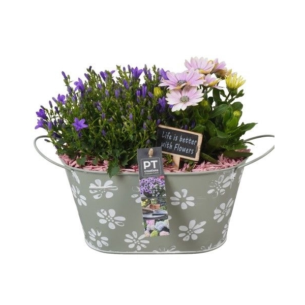 <h4>PTPP2457 Arrangement Patio Plants in metaal pot</h4>
