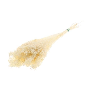 Bunch Broom Slv 100g L45