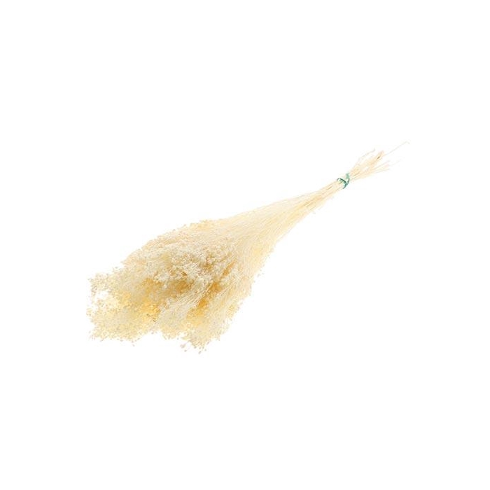 <h4>Bunch Broom Slv 100g L45</h4>
