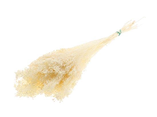 Bunch Broom Slv 100g L45