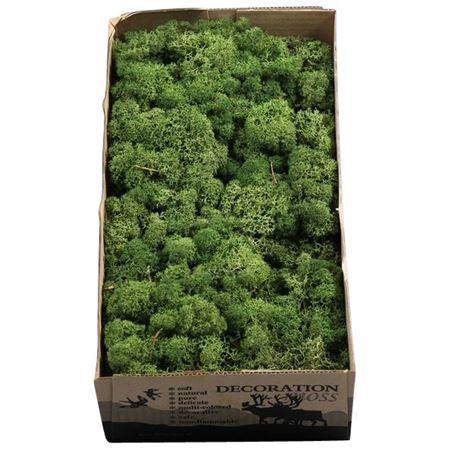<h4>Ijslandmos (reindeer) Mos Groen</h4>
