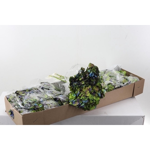 Hydr Hulk Box