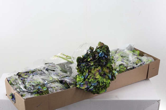 <h4>Hydr Hulk Box</h4>