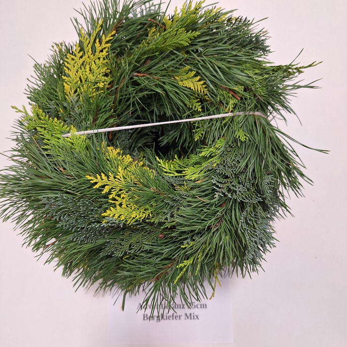 ADVENTKRANZ 25CM NOBILIS