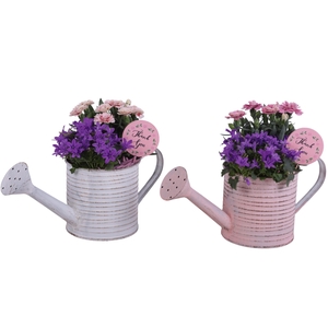 Mothersday Arr. Outdoor Zinc Wateringcan Vintage Ø31cm 2PP
