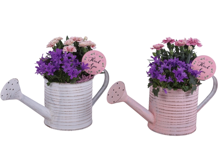 <h4>Mothersday Arr. Outdoor Zinc Wateringcan Vintage Ø31cm 2PP</h4>