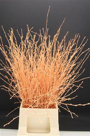 <h4>Berk Kort Apricot</h4>