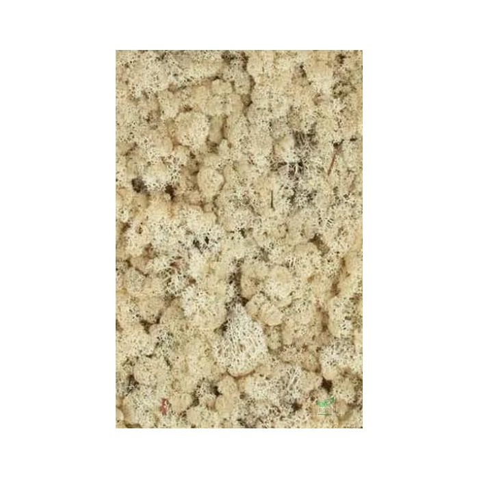 <h4>IJSLANDS MOS SEPIA 500GR</h4>