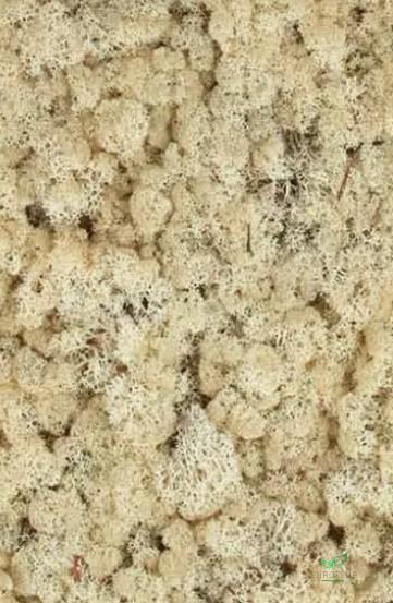 IJSLANDS MOS SEPIA 500GR