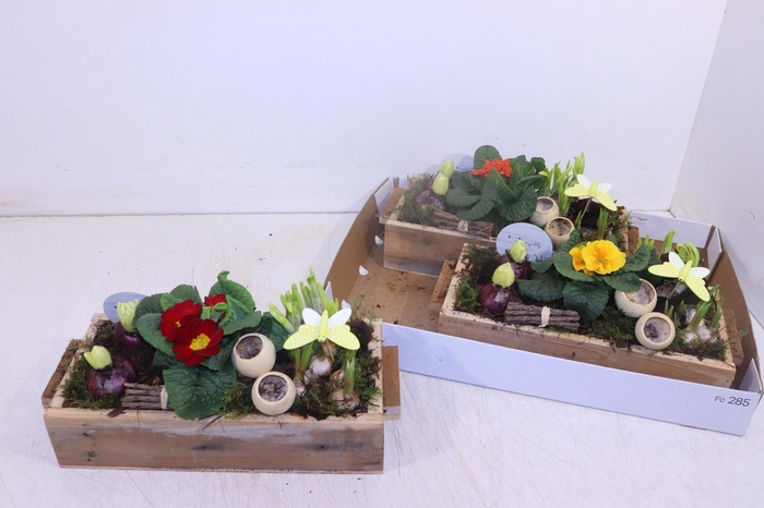 <h4>ARR TUINPLANTEN</h4>